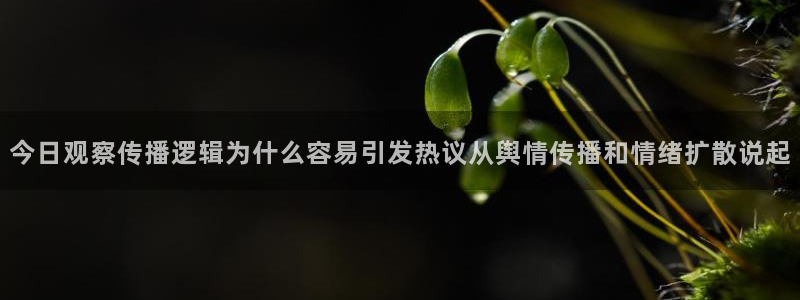 吃瓜爆料：今日观察传播逻辑为什么容易引发热议从舆情传播和情绪扩散说起