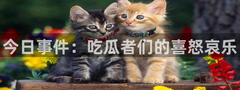 51吃瓜今日资讯:今日事件:吃瓜者们的喜怒哀乐