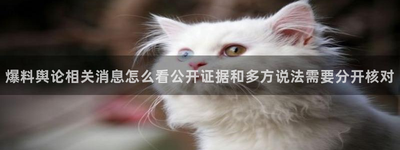 网络热点